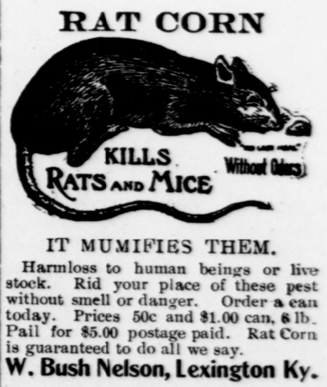 Rat Corn
